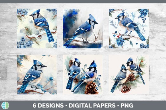 Christmas Blue Jay Backgrounds: Festive Illustrations