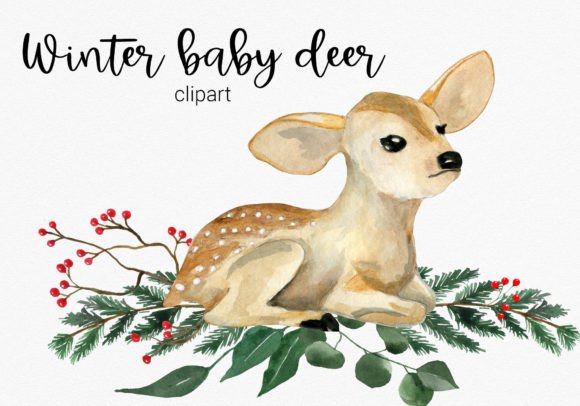 Winter Baby Deer Clipart: Fresh Illustrations